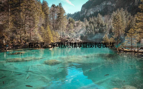 在这里, 你可以尽情享受夜市的繁华