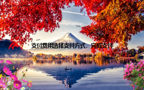 支付费用选择支付方式, 完成支付