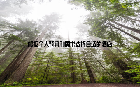 根据个人预算和需求选择合适的酒店