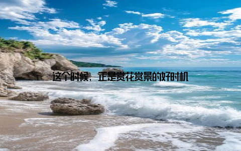 这个时候, 正是赏花赏景的好时机