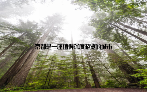 京都是一座值得深度游览的城市