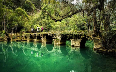 旅游公司加盟, 享受品牌优势