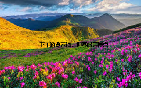 – 下午游览云海、迎客松等景点