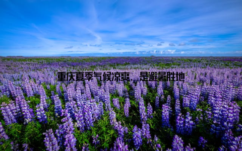 重庆夏季气候凉爽, 是避暑胜地