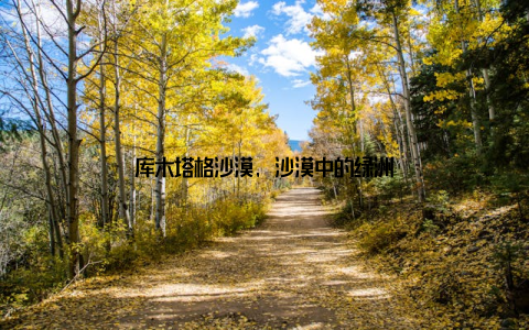 库木塔格沙漠, 沙漠中的绿洲