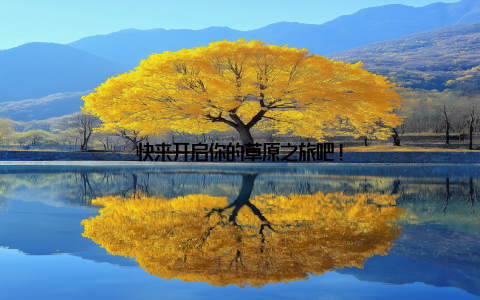 快来开启你的草原之旅吧!