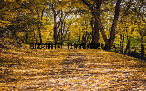 合理安排时间, 让你的旅程更加充实