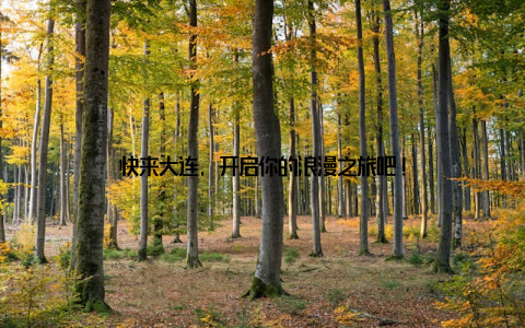 快来大连, 开启你的浪漫之旅吧!