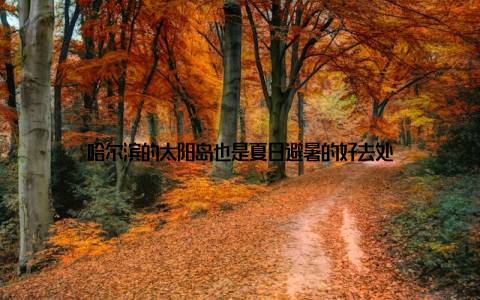 哈尔滨的太阳岛也是夏日避暑的好去处