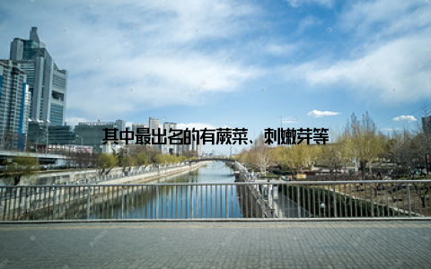 其中最出名的有蕨菜、刺嫩芽等