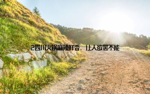 2四川火锅麻辣鲜香, 让人欲罢不能