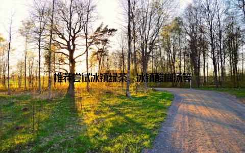 推荐尝试冰镇绿茶、冰镇酸梅汤等