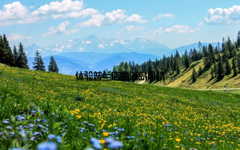 体验普兰店的海岛风情