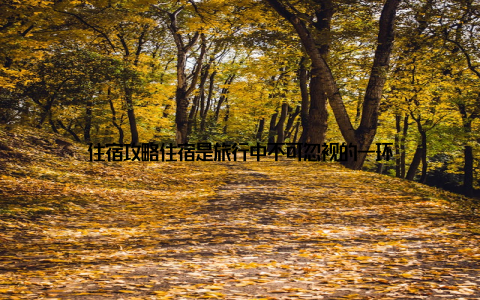 住宿攻略住宿是旅行中不可忽视的一环