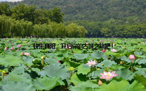 快来襄阳, 开启你的古城之旅吧!