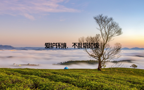 爱护环境, 不乱扔垃圾