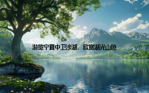 游览宁夏中卫沙湖, 欣赏湖光山色