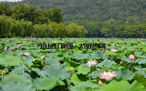 如山西刀削面、太原烧饼等