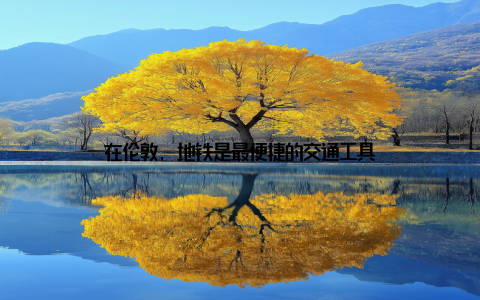 在伦敦, 地铁是最便捷的交通工具