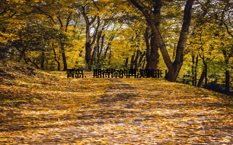 青岛, 期待你的再次到来!