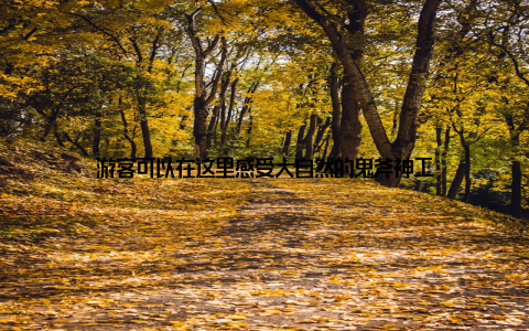 游客可以在这里感受大自然的鬼斧神工