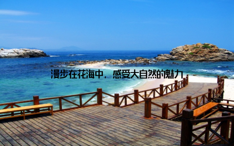 漫步在花海中, 感受大自然的魅力