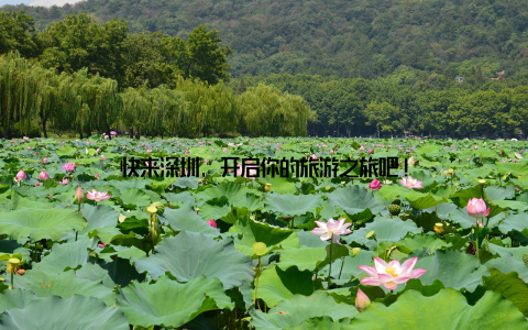 快来深圳, 开启你的旅游之旅吧!