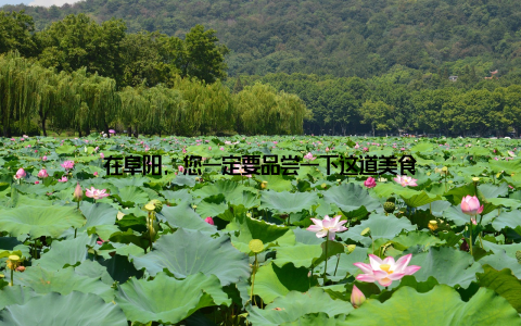 在阜阳, 您一定要品尝一下这道美食